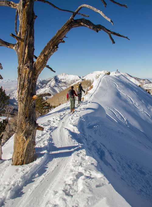 Backcountry skiing Desolation ridge