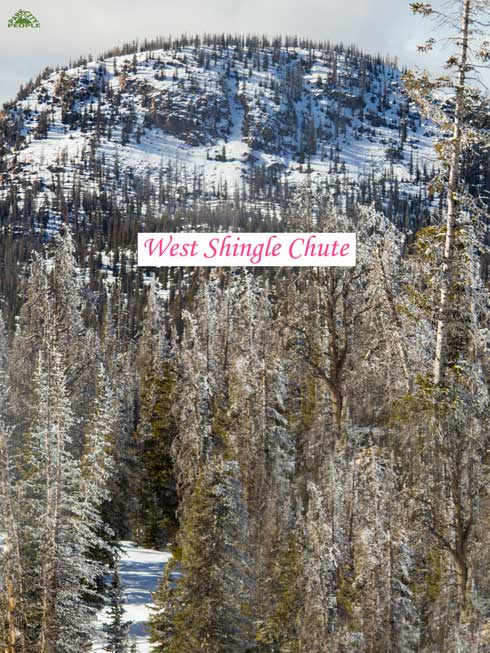 West shingle chute